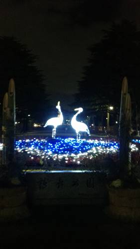 鶴舞公園の鶴